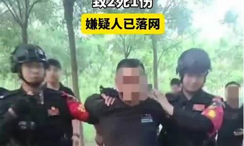 枪杀案件嫌疑人落网 美企高管案件后续调查情况(美国枪击案枪手)