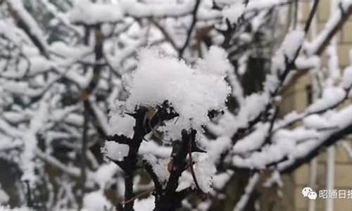 全国降雪现象 下雪群聊成为网友讨论中心