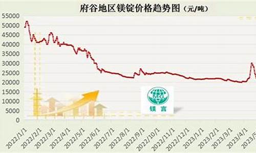 中信证券分析镁价的上涨动因(镁价格上涨)