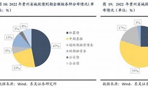 贵州地方债的资金使用透明度分析(贵州地方债化解)