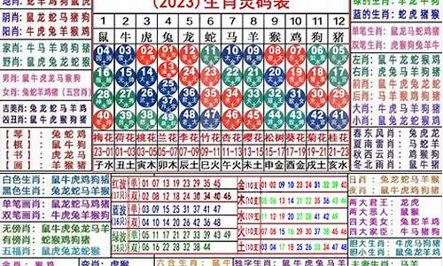 澳门彩资料2023年资料(澳门彩资料大全书)