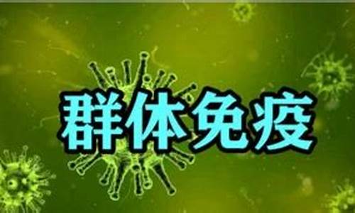 澳门最近十五期号码(澳门码最近15期开奖结果)